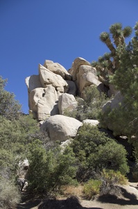 Joshua Tree NP Hidden Valley Trail