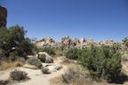 Joshua Tree Nationalpark