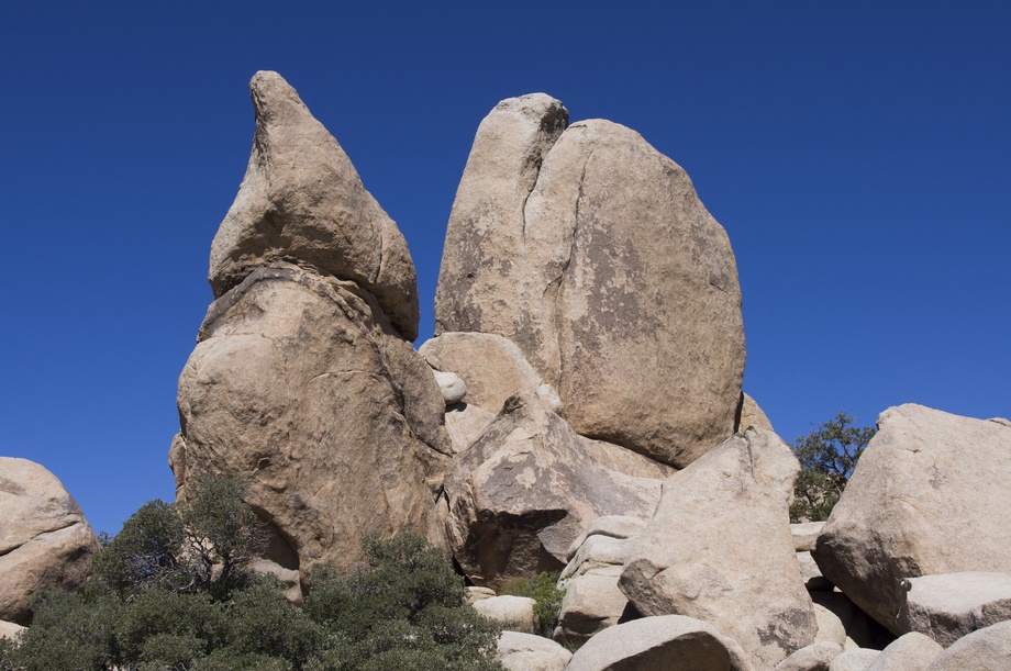 Joshua Tree Nationalpark
