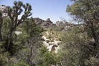 Joshua Tree Nationalpark