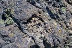 Lava Beds NM