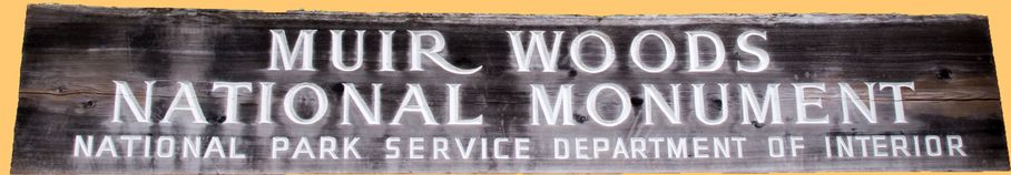 Muir Woods NM