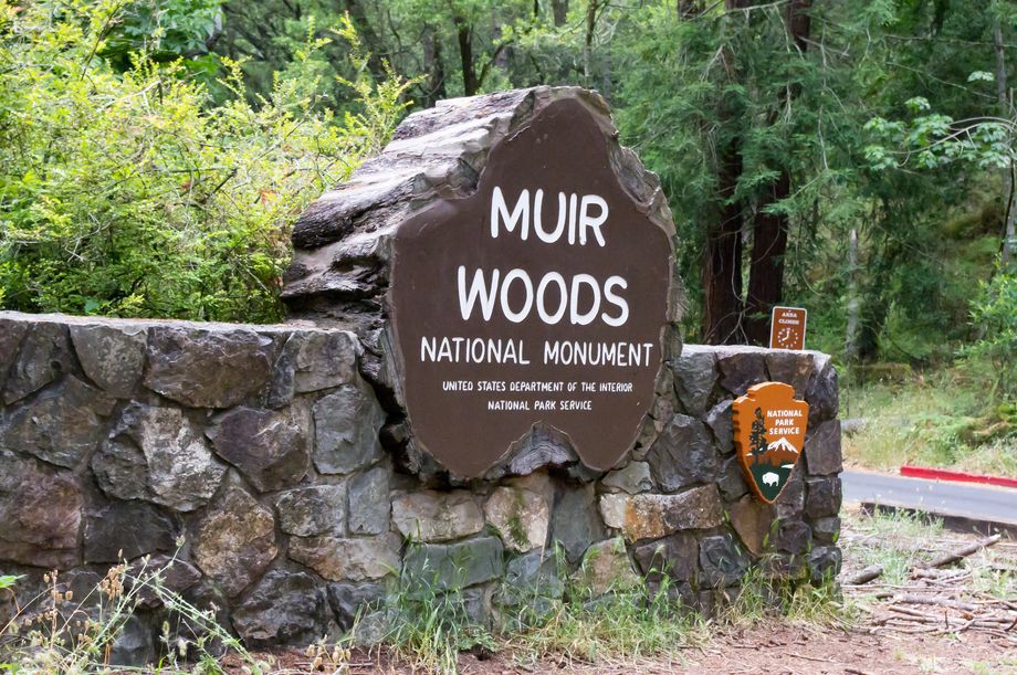 Muir Woods