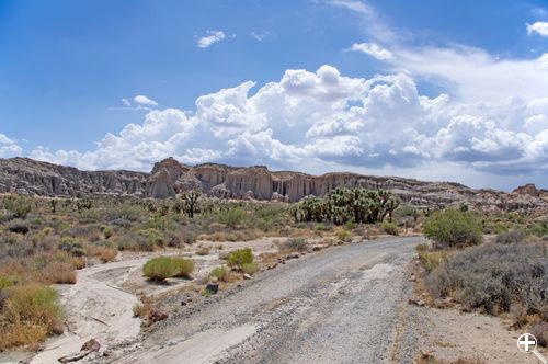 Red Rock Canyon