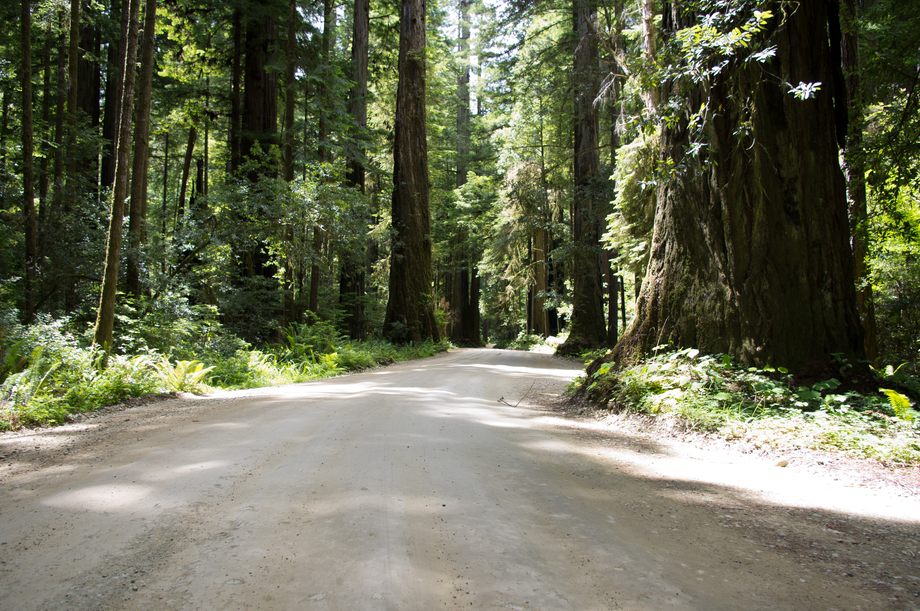 Howland Hill Road