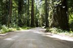 Howland Hill Road