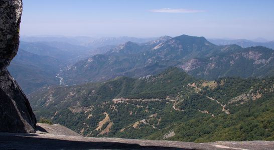Sequoia NP