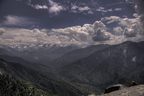 Sequoia NP