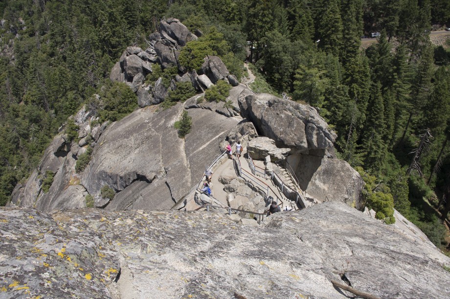 Sequoia NP
