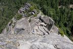 Sequoia NP