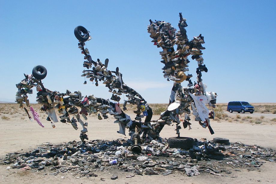 Schuhbaum am Highway 62
