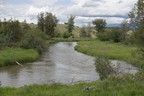 Mission Creek