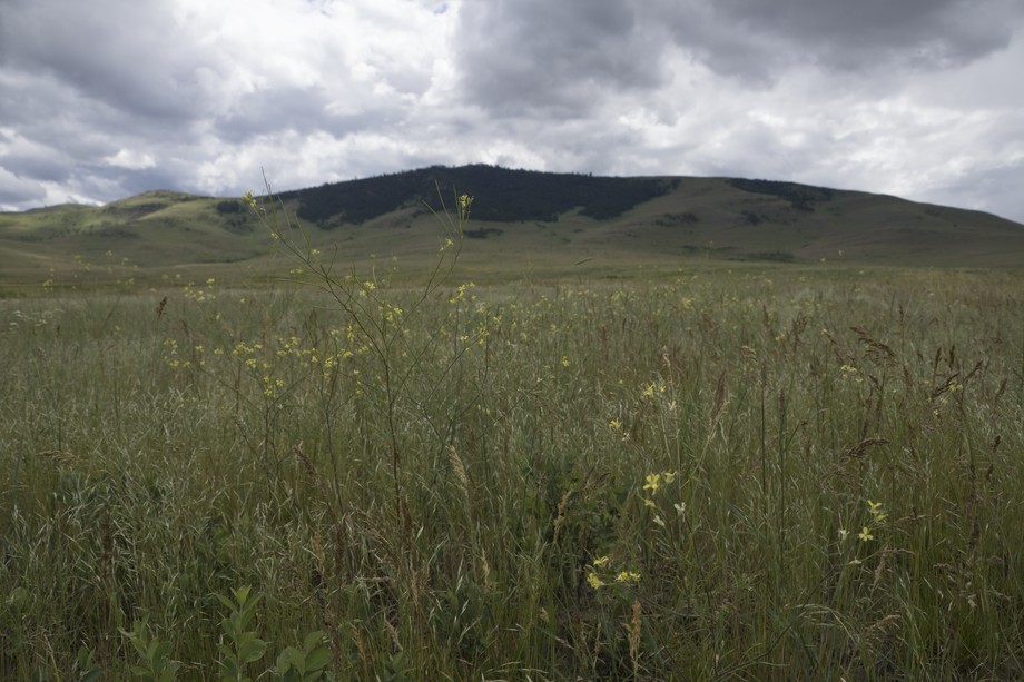 National Bison Range