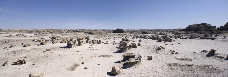 Bisti Badlands