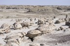 Bisti Badlands