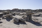 Bisti Badlands