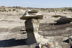 Bisti Badlands