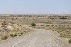 Bisti Badlands