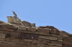 Chaco Culture NHP