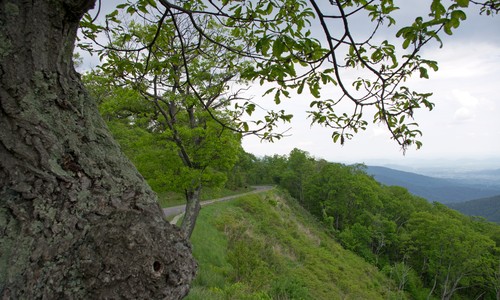 Shenandoah NP Strasse