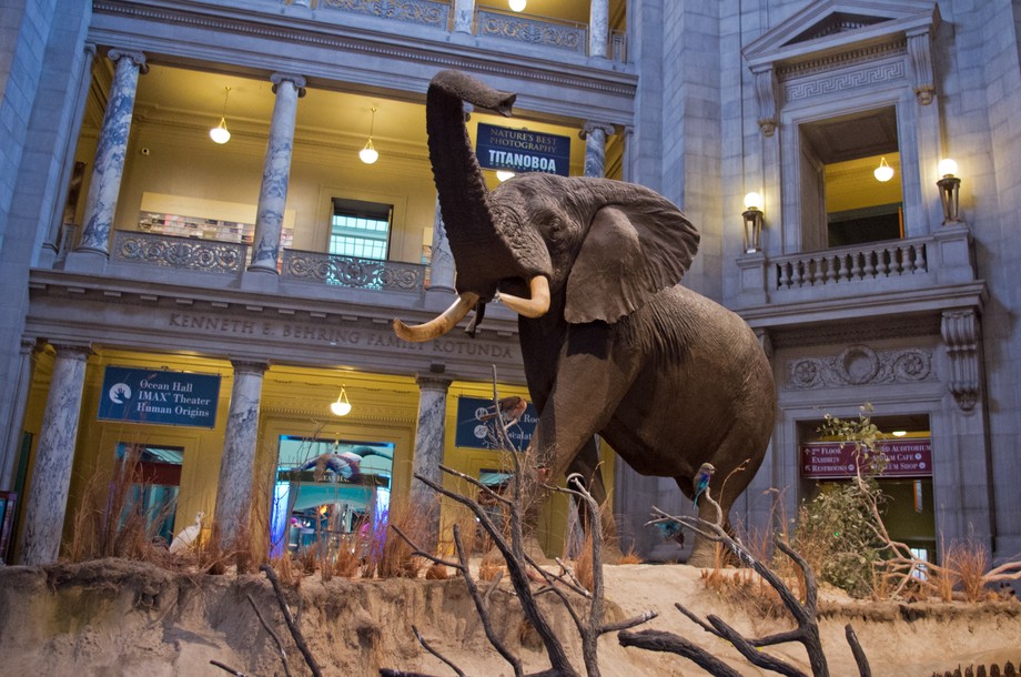 Museum of Natural History