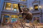 Museum of Natural History
