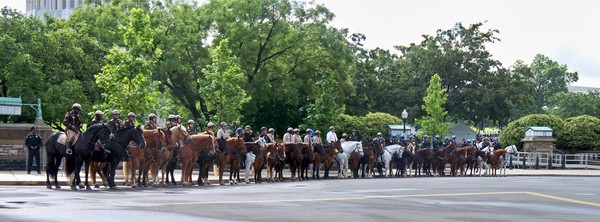Polizei zu Pferd am Capitol