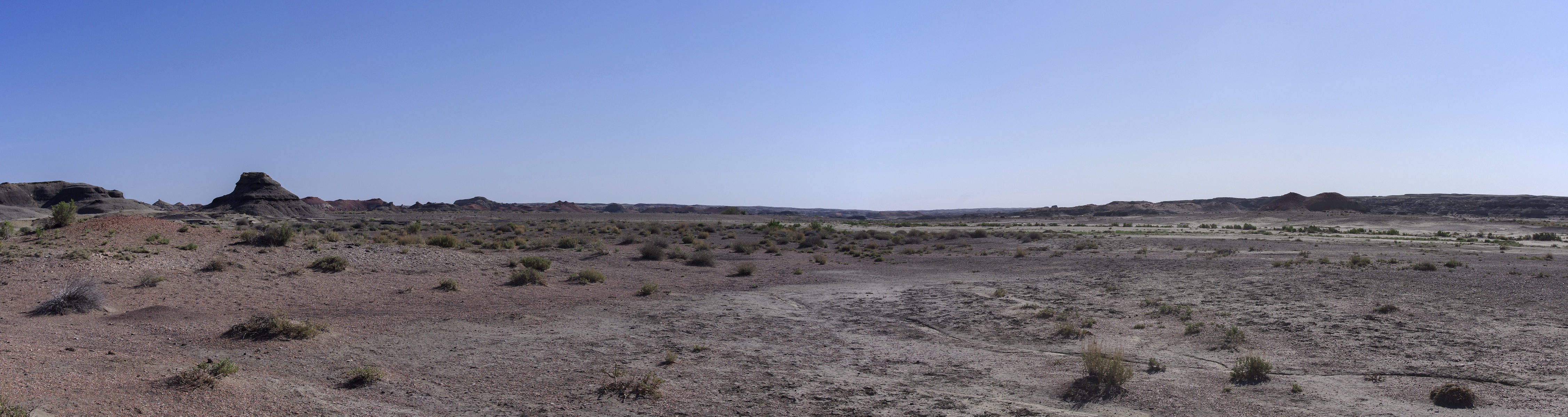 Bisti Badlands