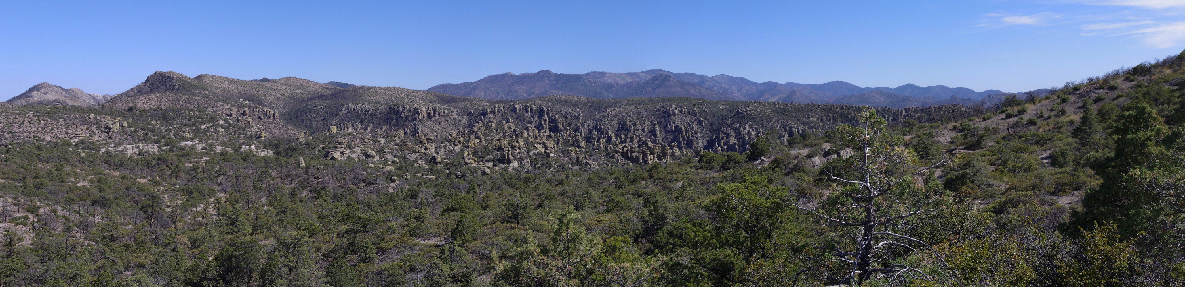 Sugarlof Chiricahua NM
