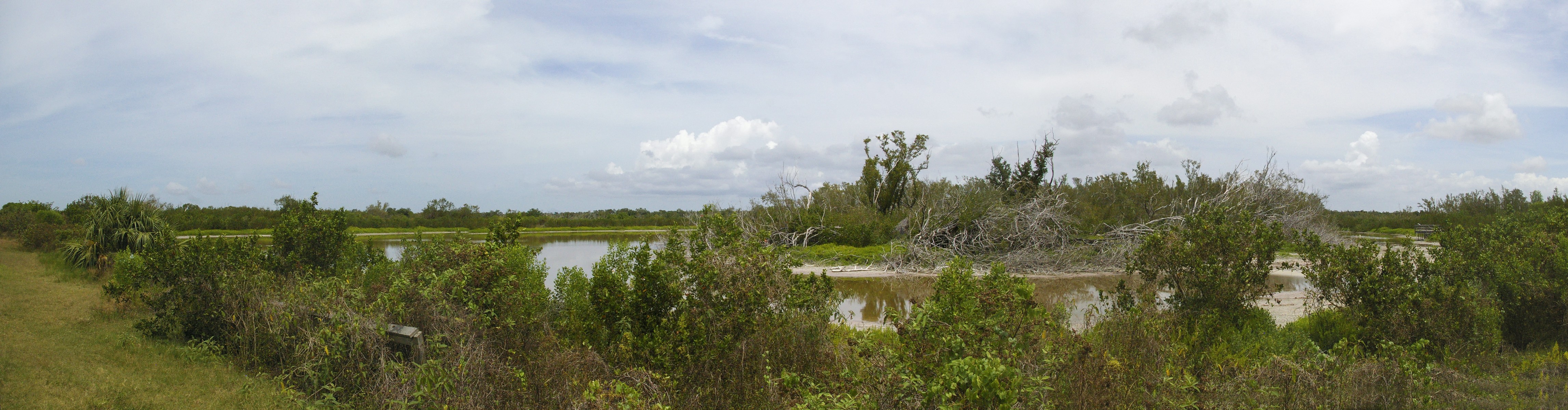 Eco Pond
