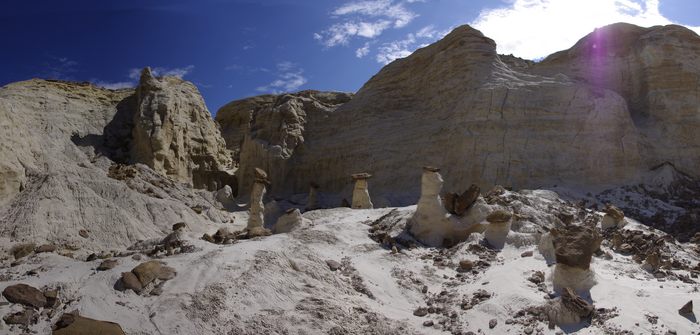 Toadstool Hoodoo
