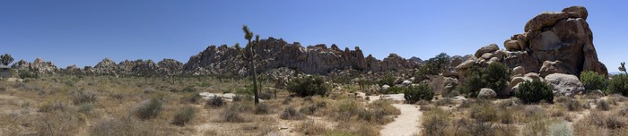 Joshua Tree National Park