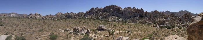 Joshua Tree National Park