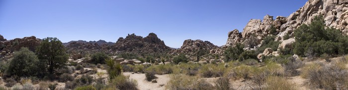 Joshua Tree National Park