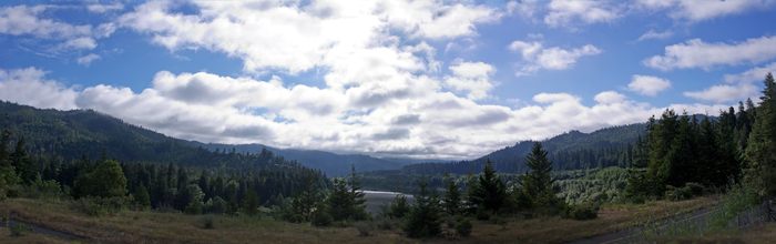 Redwood NP