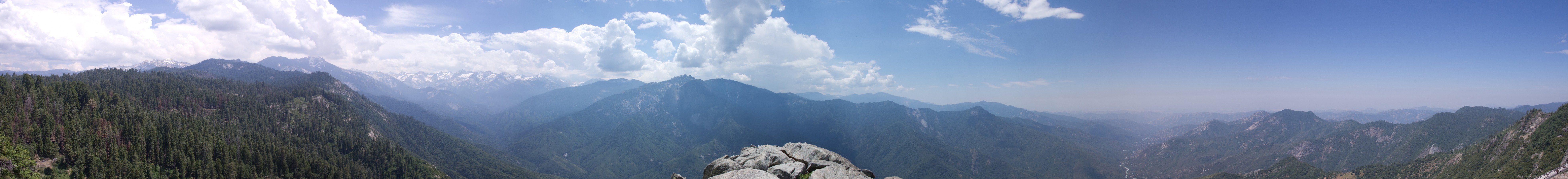 Sequoia NP