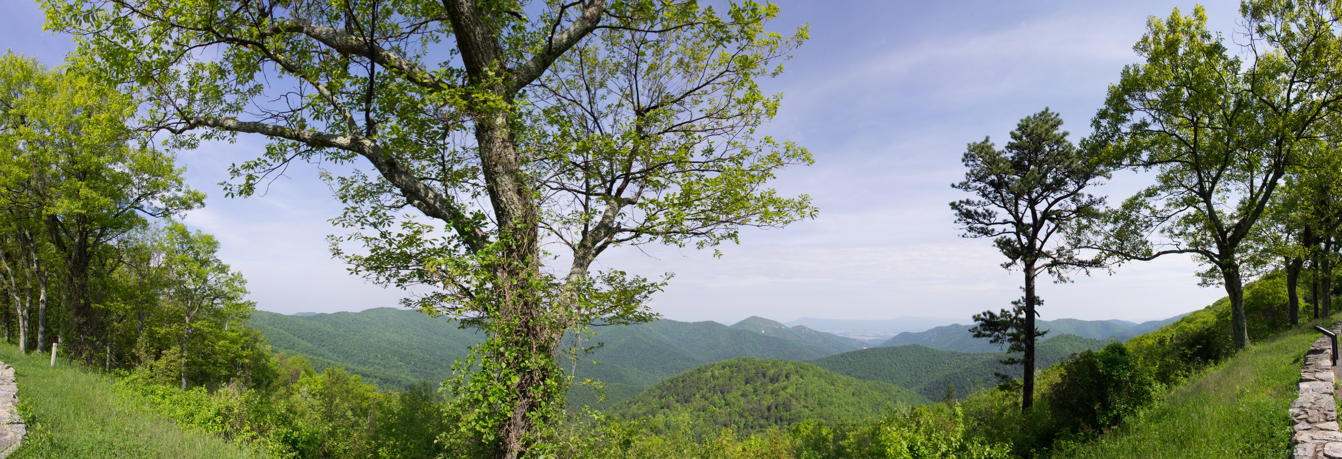 Shenandoah National Park Overlook