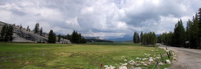 Tuolumne Meadows