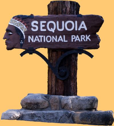 Sequoia NP