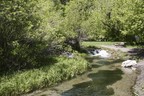 Spearfish Canyon