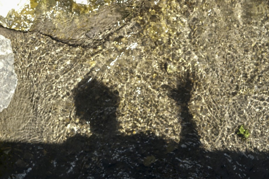 Hallo