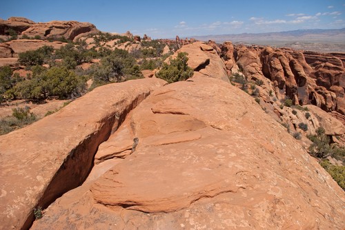 Devils Garden