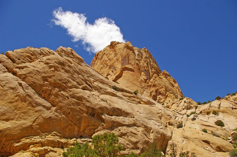 Burr Trail