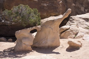 Pothole Point Trail