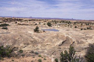 Pothole Point Trail