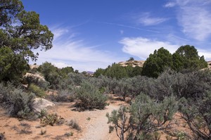 Roadside Ruin Trail