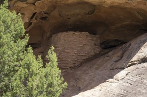 Roadside Ruin Trail