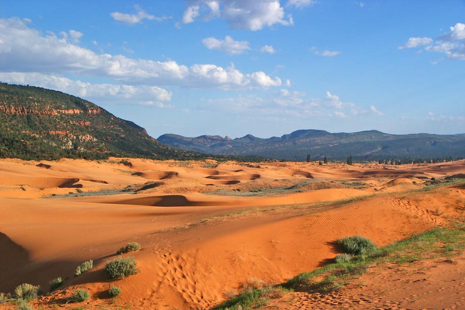 Coral Pink sand Dunes