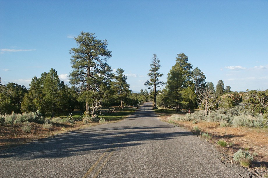 der Weg