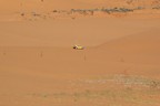 Spuren im Sand